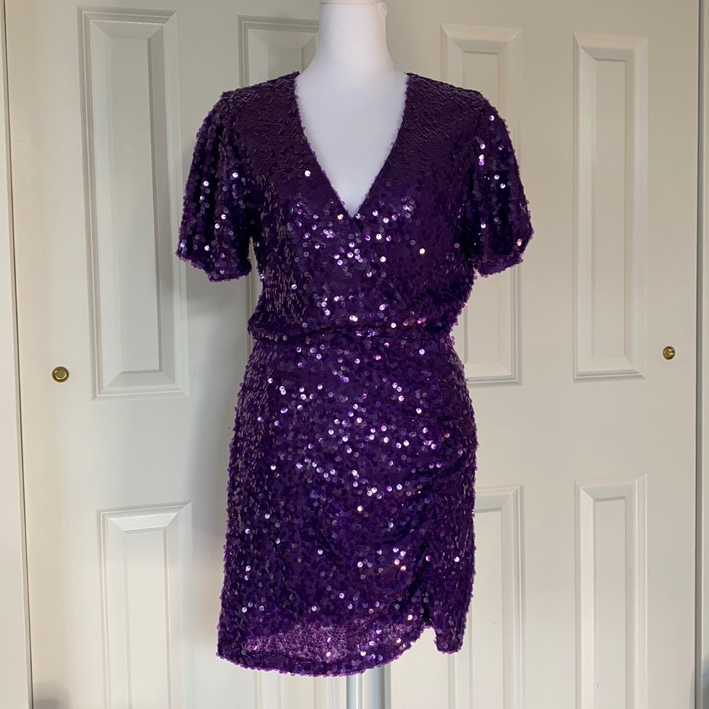 Leyden sparkley, sequined purple dress.Size Small.